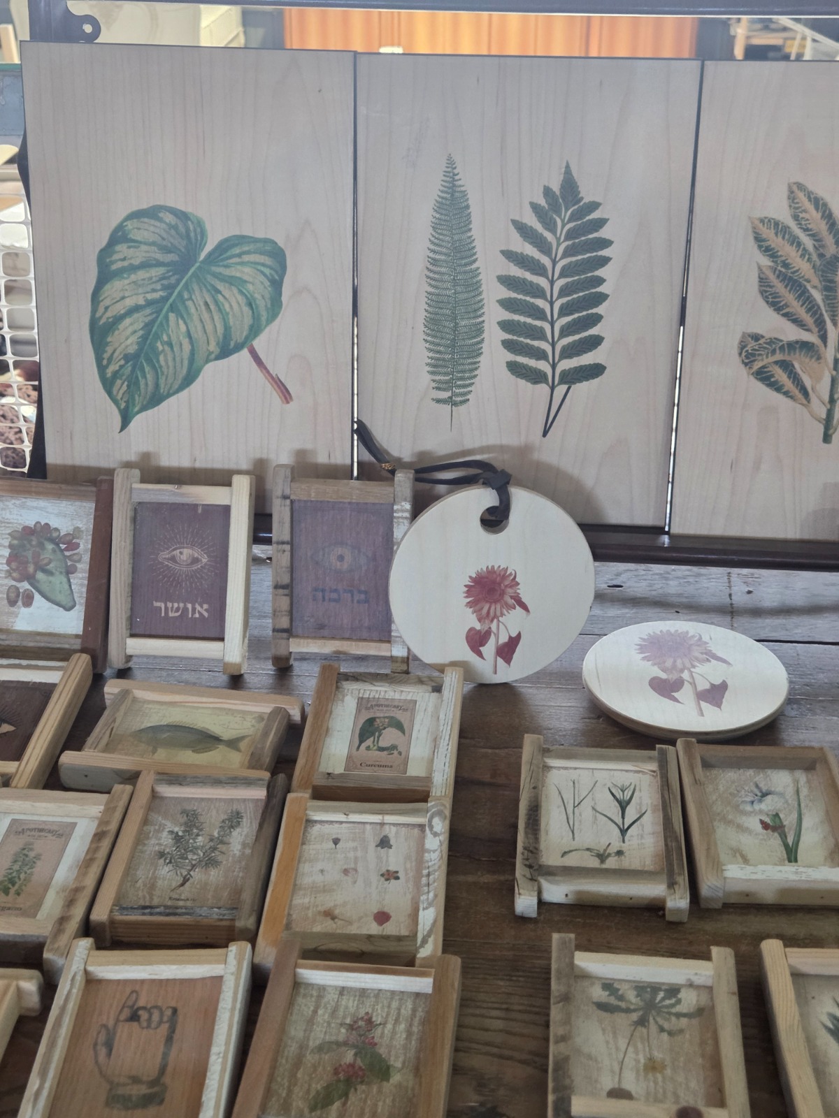 605752815_2669888886678321_4981283580550401250_n