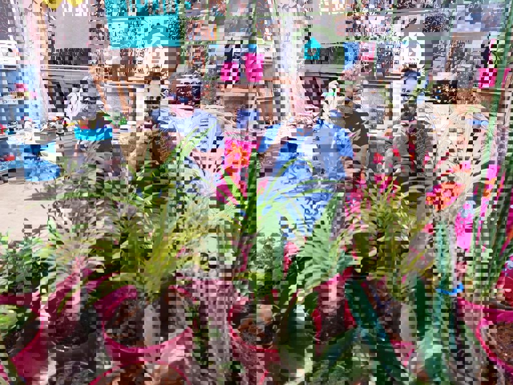 הקבלה של חזית הבית 5